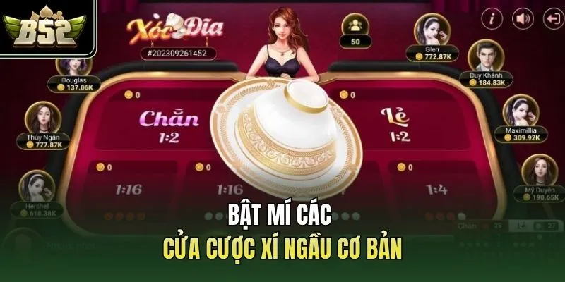 Bật mí các cửa cược xí ngầu cơ bản