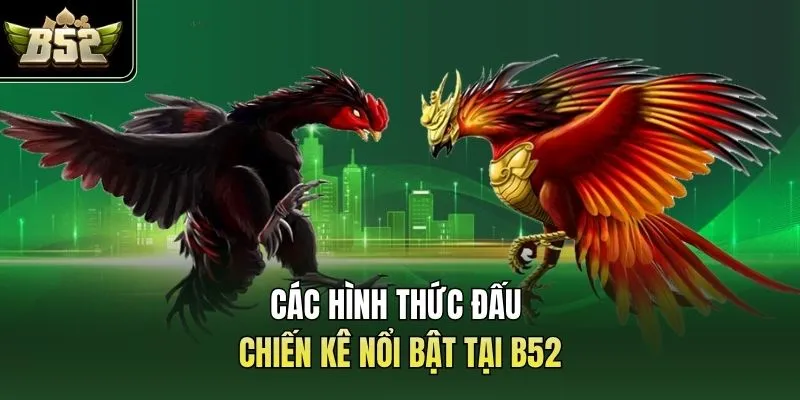 Các hình thức đấu chiến kê nổi bật tại B52
