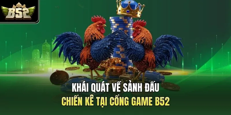 Khái quát về sảnh đấu chiến kê tại cổng game B52