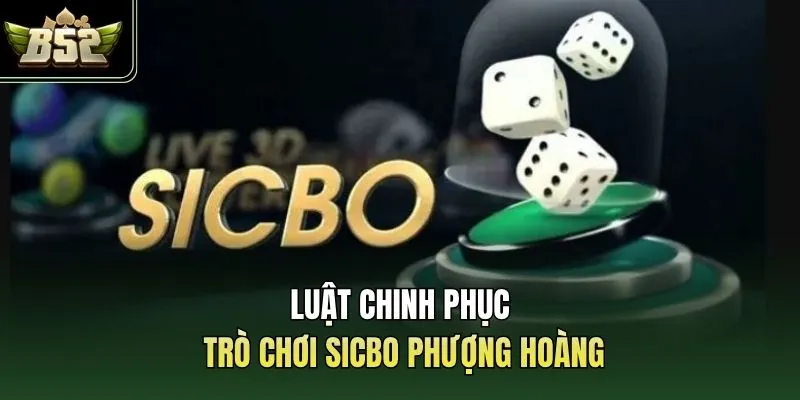 Luật chinh phục trò chơi Sicbo phượng hoàng 