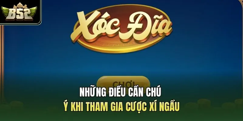 Những điều cần chú ý khi tham gia cược xí ngầu