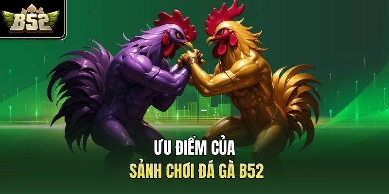Ưu điểm của sảnh chơi đá gà B52